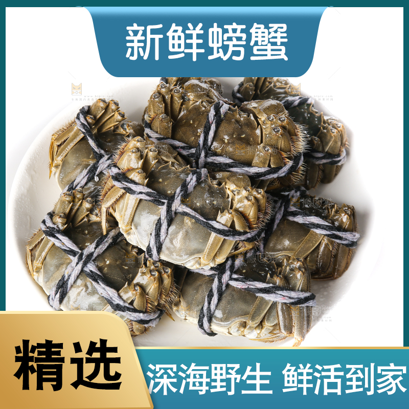 白底上的大闸蟹