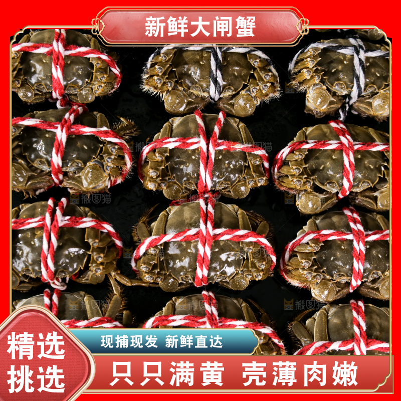 黑底上的鲜活大闸蟹