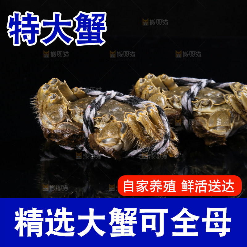 黑底上的鲜活大闸蟹