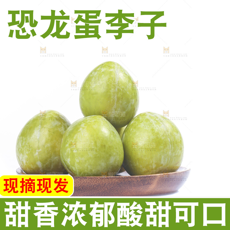白底上放着新鲜恐龙蛋