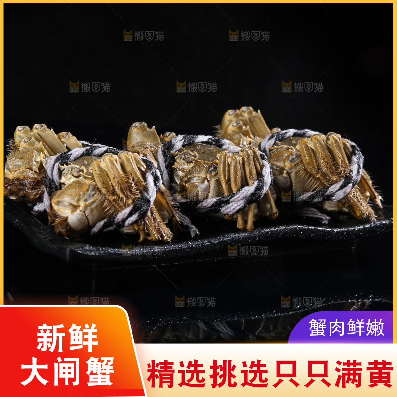 黑底上的鲜活大闸蟹