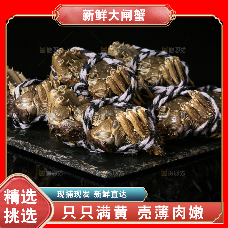 黑底上的鲜活大闸蟹