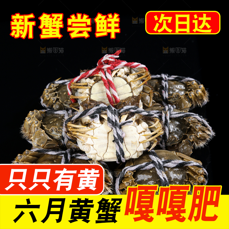 黑底上的鲜活大闸蟹