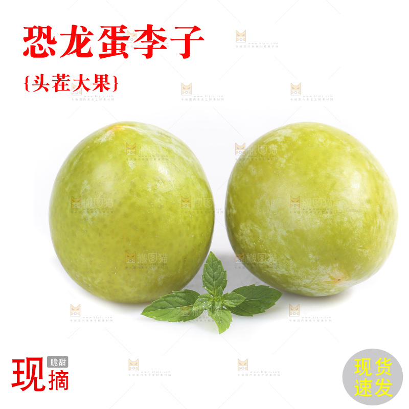 白底上放着新鲜恐龙蛋