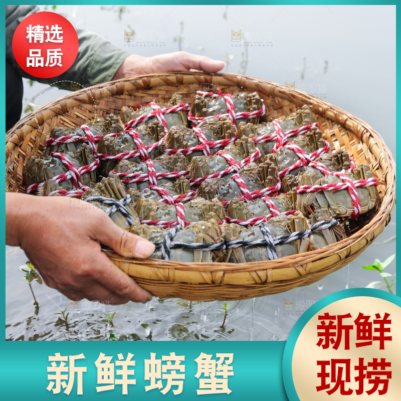 手里拿着阳澄湖大闸蟹