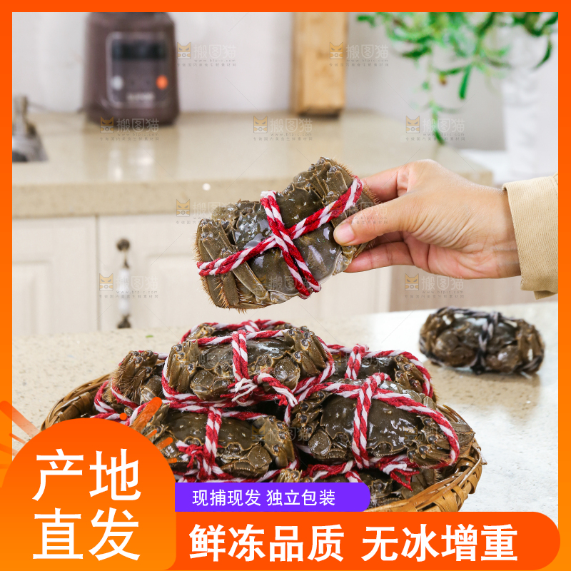 浅底上的鲜活螃蟹