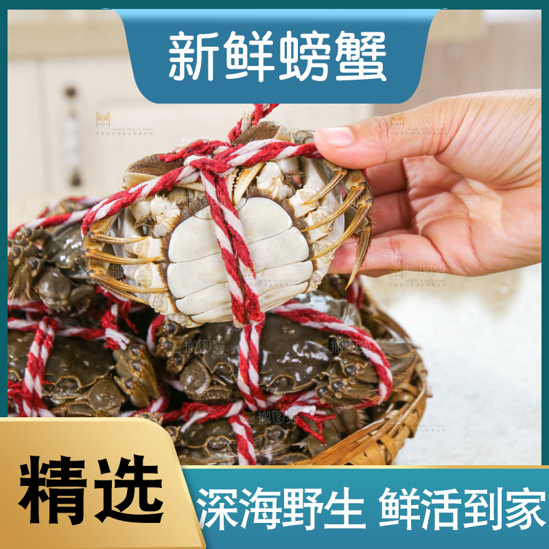 浅底上的鲜活螃蟹