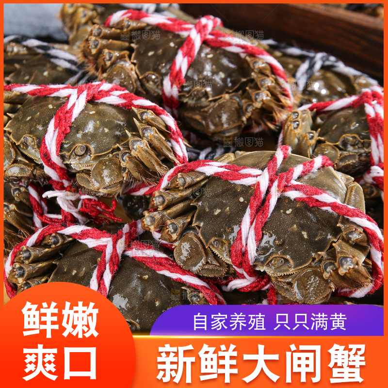 黑底上的鲜活大闸蟹
