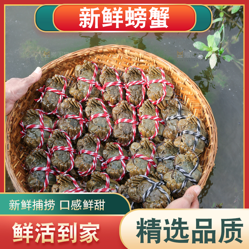 手里拿着阳澄湖大闸蟹