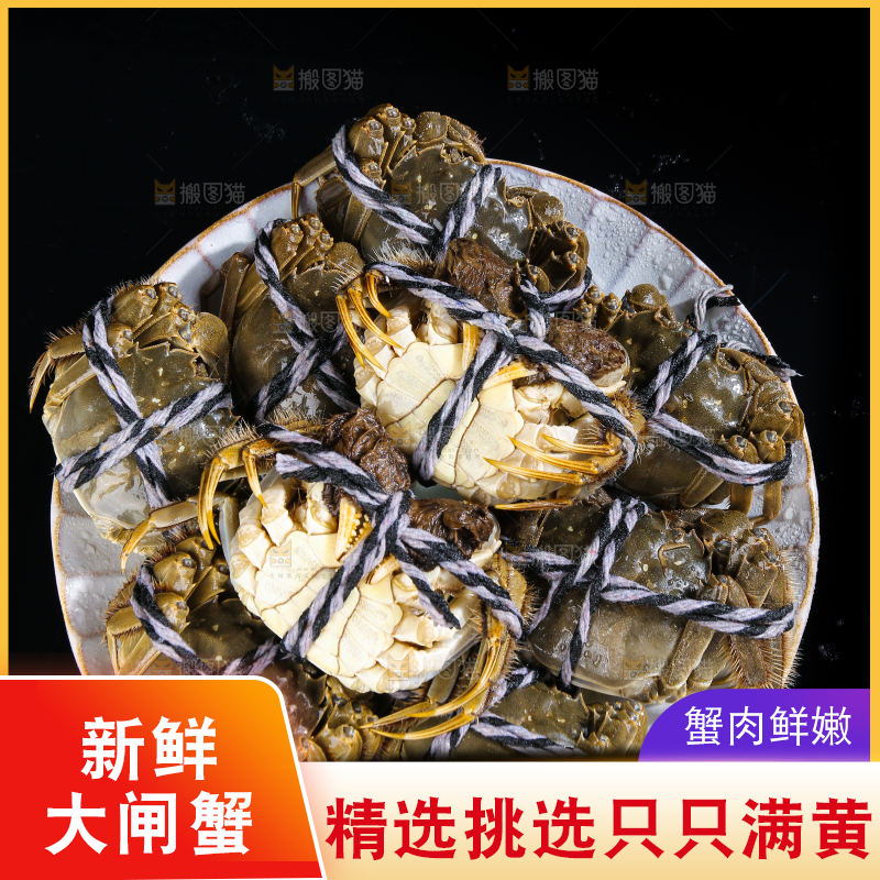 黑底上的鲜活大闸蟹