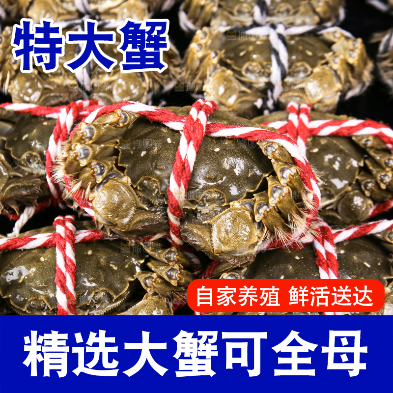 黑底上的鲜活大闸蟹