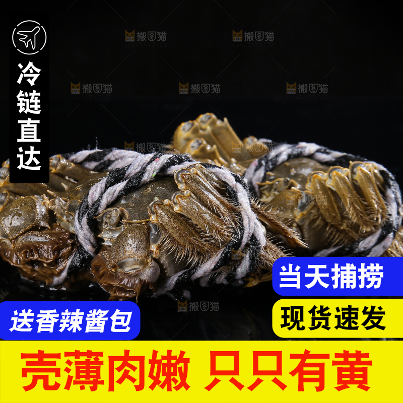 黑底上的鲜活大闸蟹