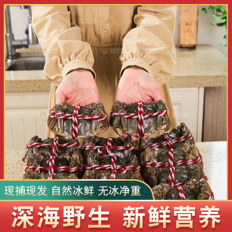 浅底上的鲜活螃蟹