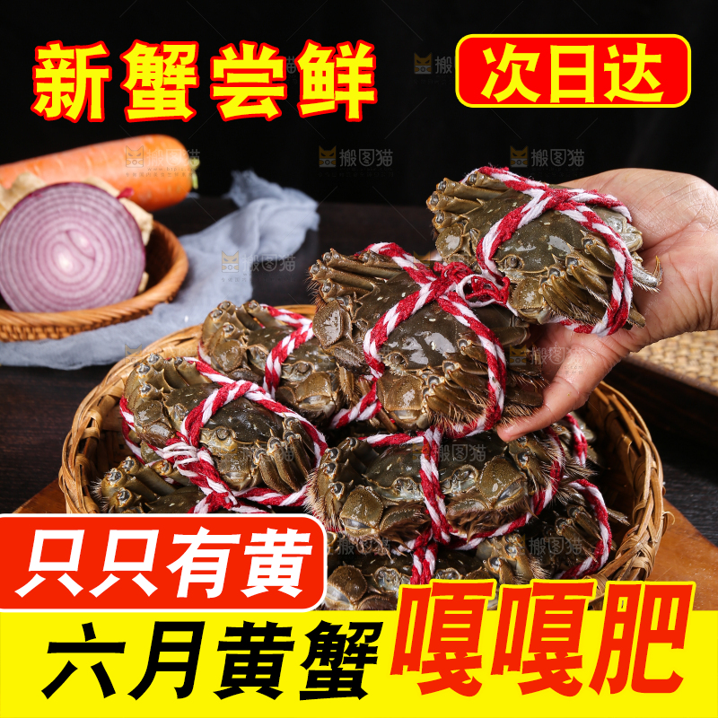 黑底上的鲜活大闸蟹