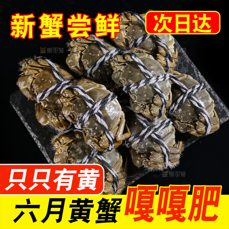黑底上的鲜活大闸蟹