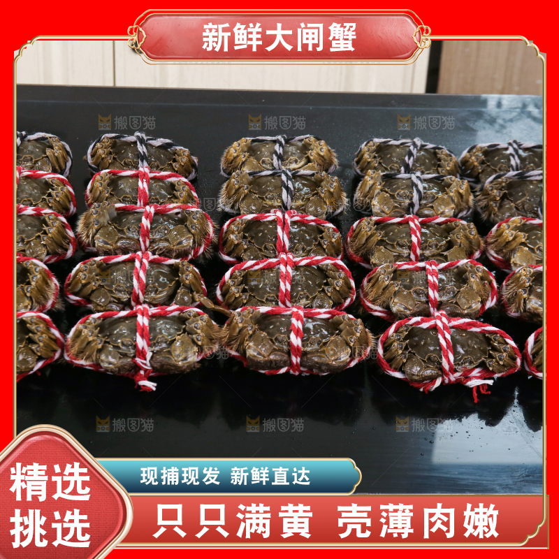 黑底上的鲜活大闸蟹
