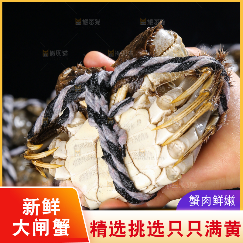 黑底上的鲜活大闸蟹