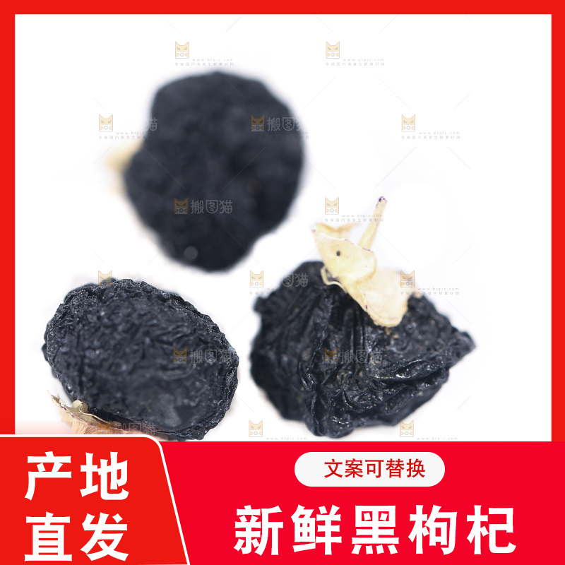 白底上摆放着黑枸杞子