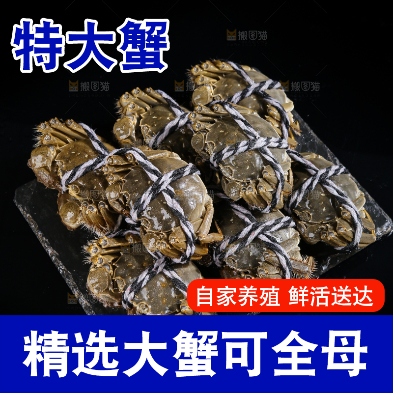 黑底上的鲜活大闸蟹
