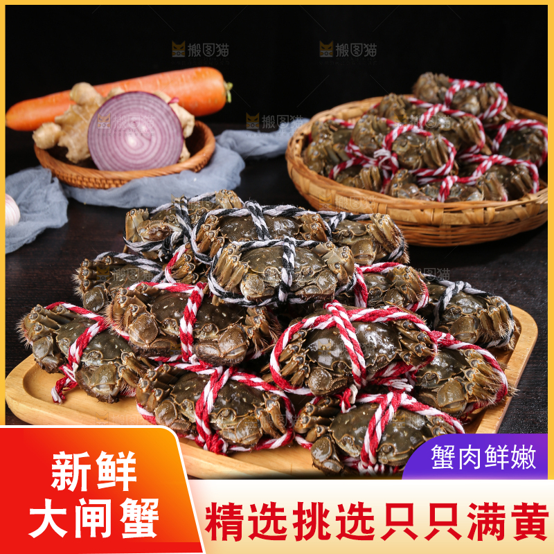 黑底上的鲜活大闸蟹