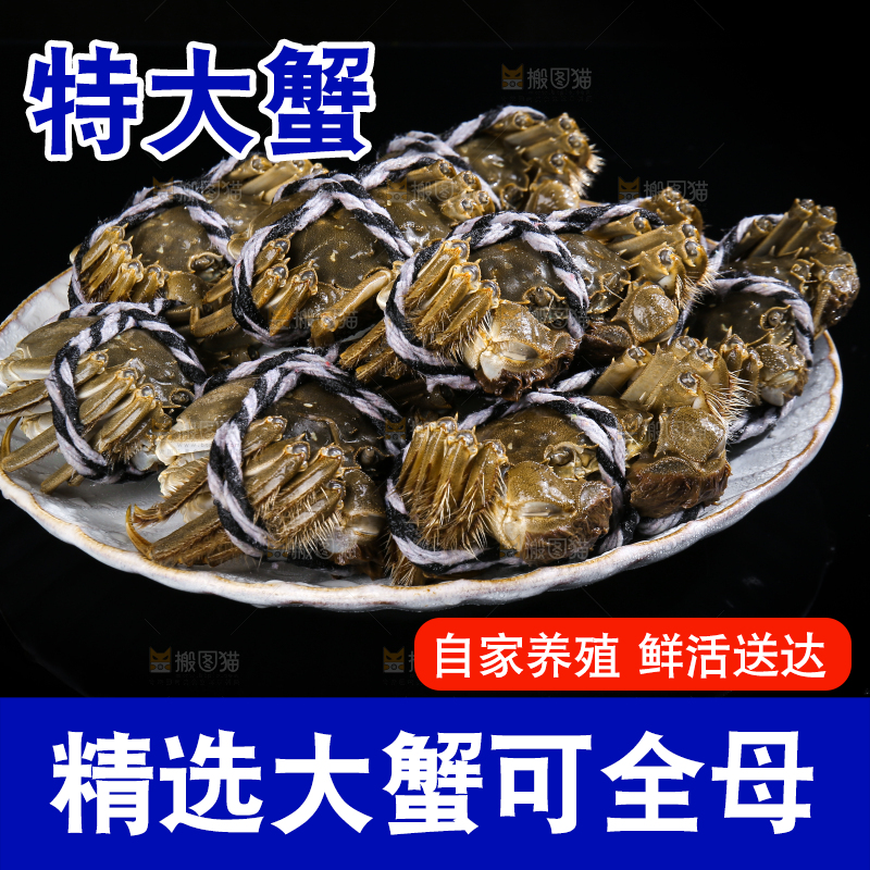 黑底上的鲜活大闸蟹