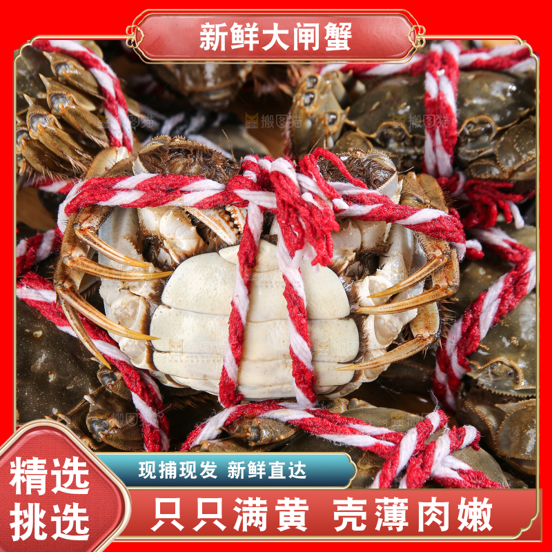黑底上的鲜活大闸蟹