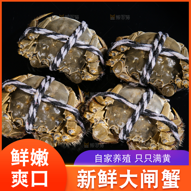 黑底上的鲜活大闸蟹