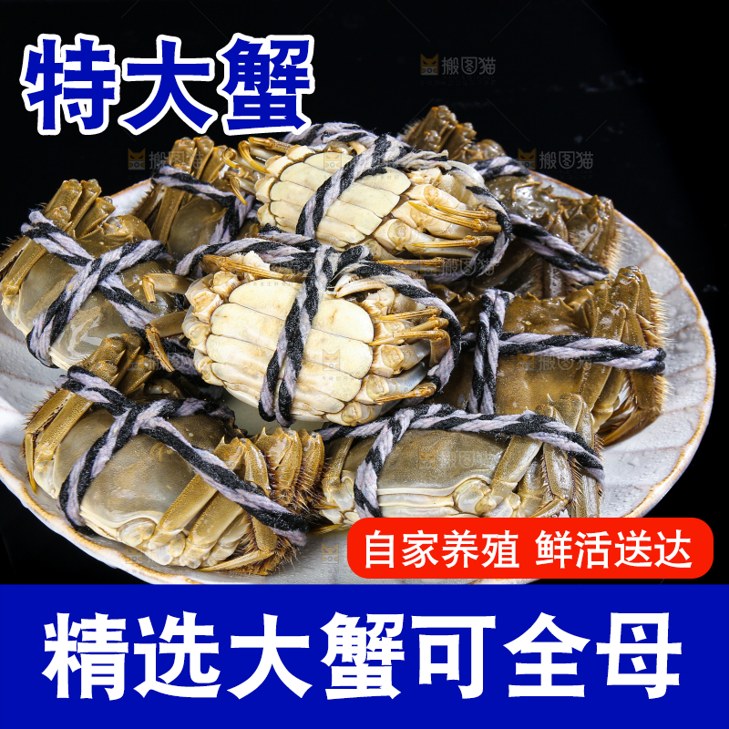 黑底上的鲜活大闸蟹