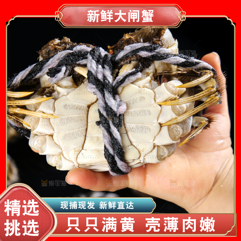 黑底上的鲜活大闸蟹