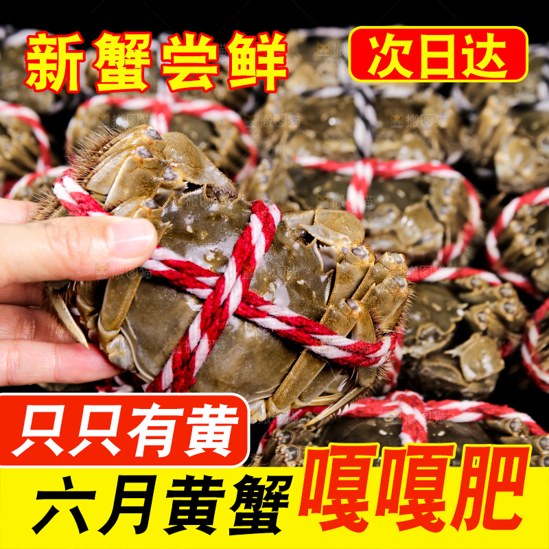 黑底上的鲜活大闸蟹