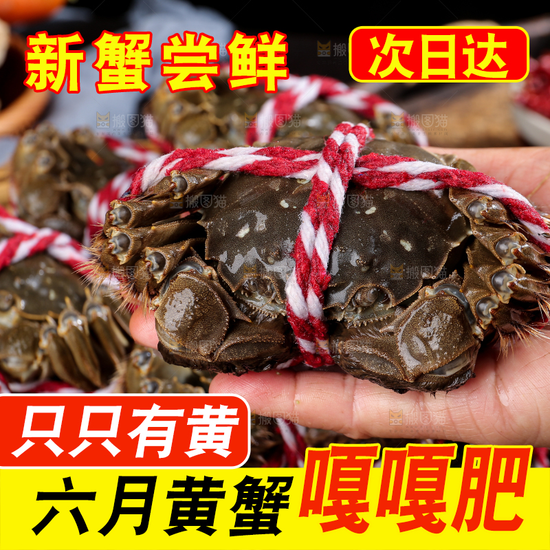 黑底上的鲜活大闸蟹