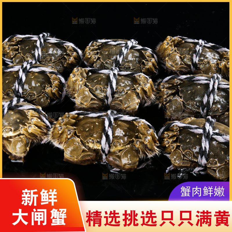 黑底上的鲜活大闸蟹