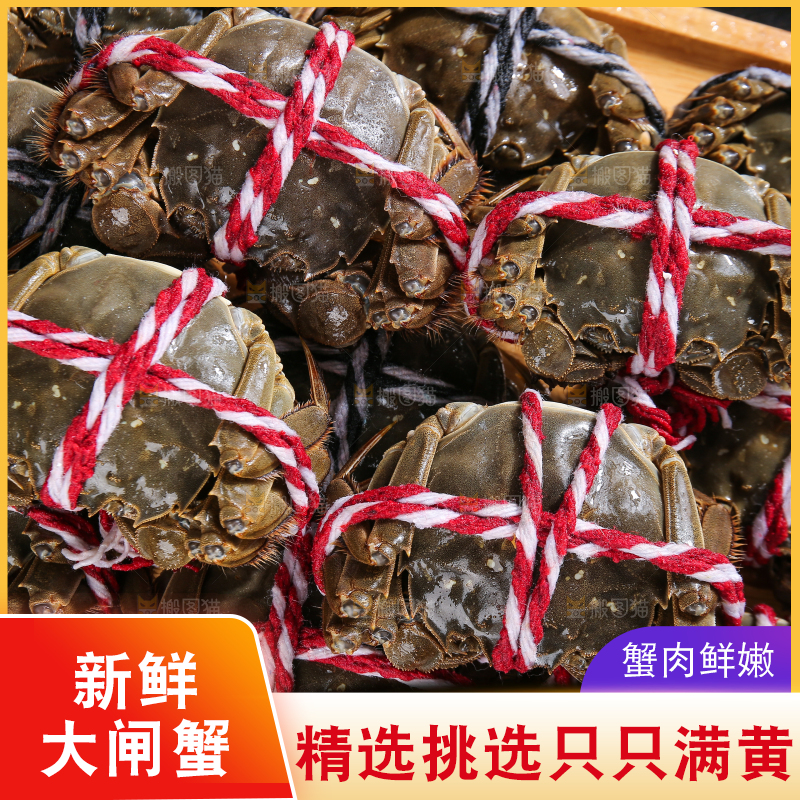 黑底上的鲜活大闸蟹