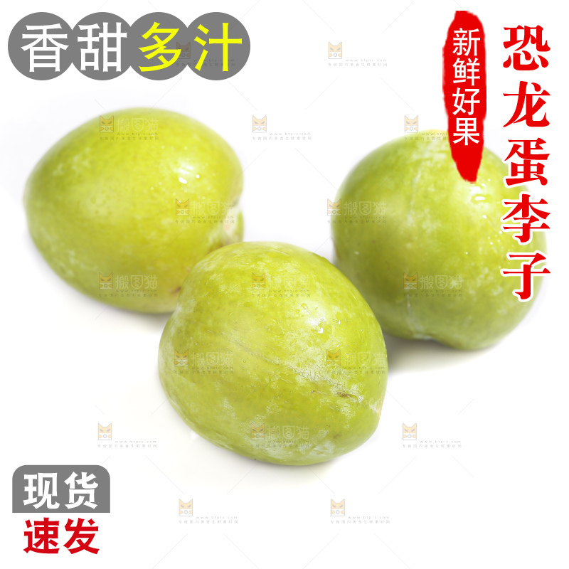 白底上放着新鲜恐龙蛋