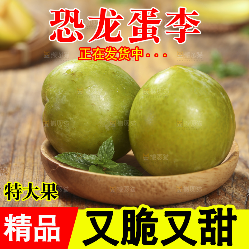 木底上放着恐龙蛋李