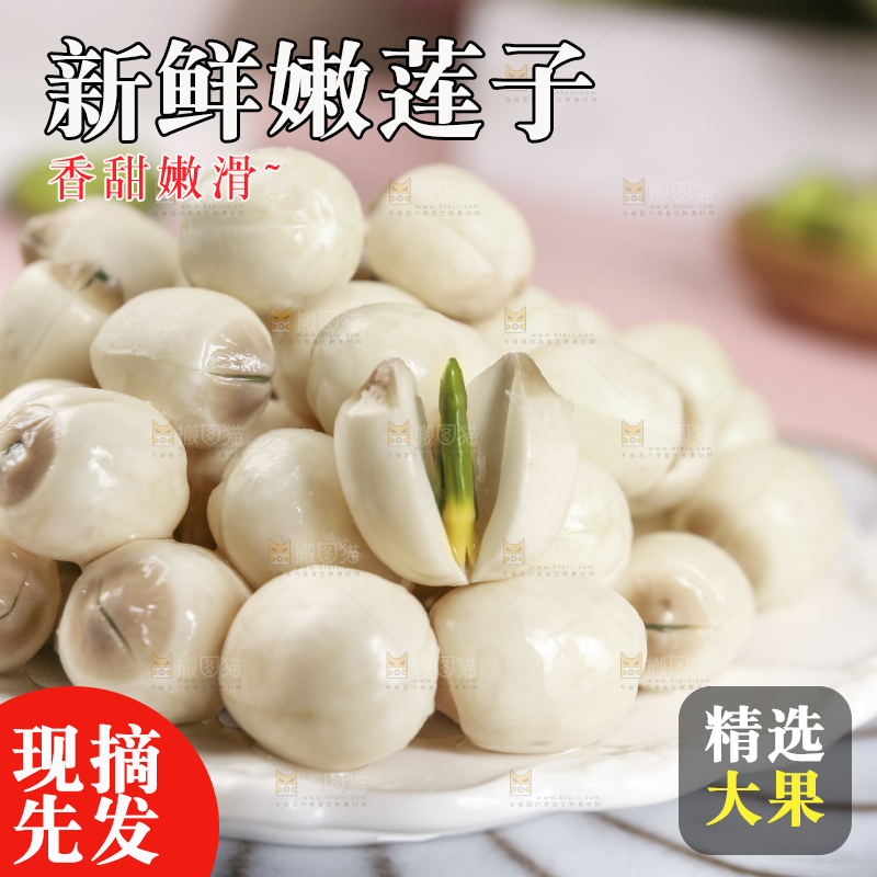 浅底上的莲子