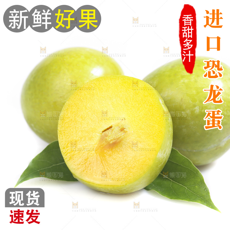白底上放着新鲜恐龙蛋