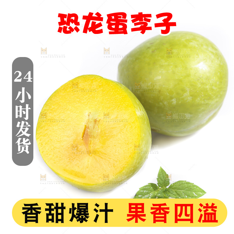 白底上放着新鲜恐龙蛋