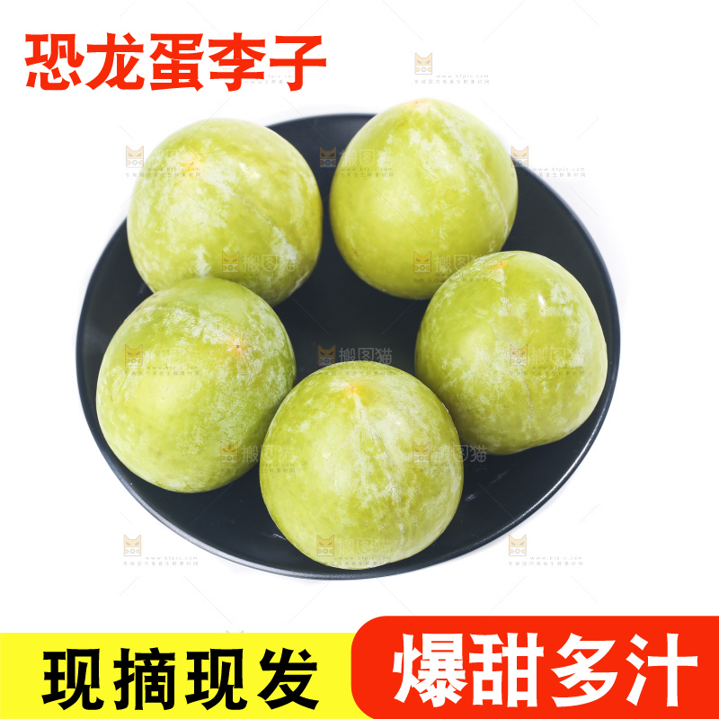 白底上放着新鲜恐龙蛋