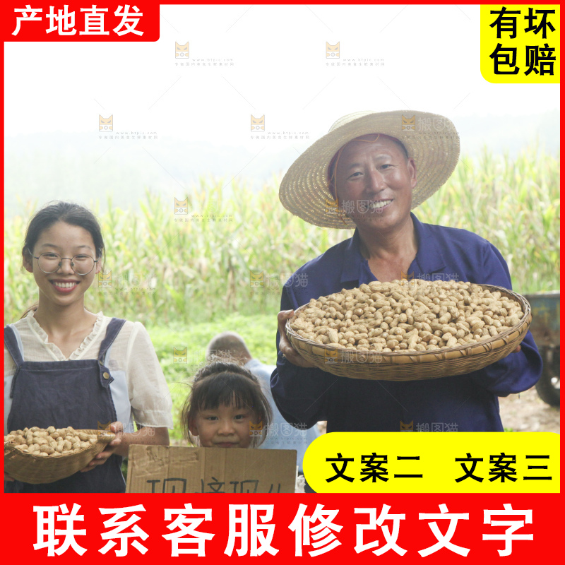 手里拿着现挖花生