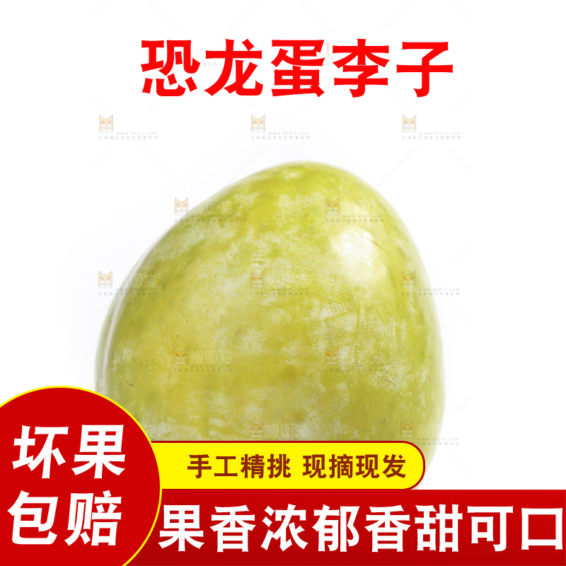白底上放着新鲜恐龙蛋
