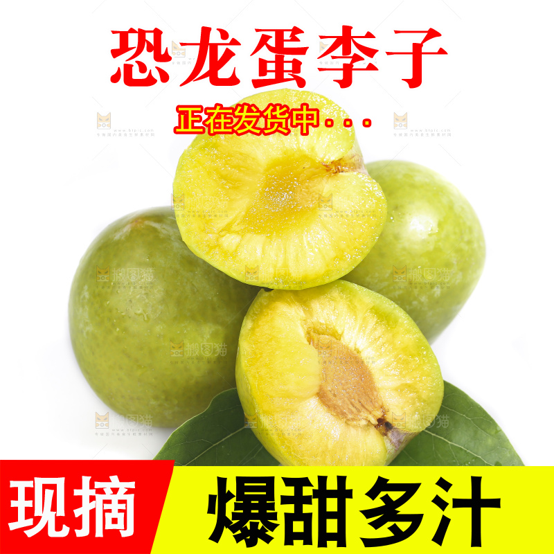 白底上放着新鲜恐龙蛋