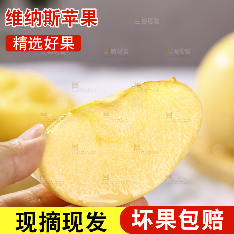 浅底上的维纳斯苹果