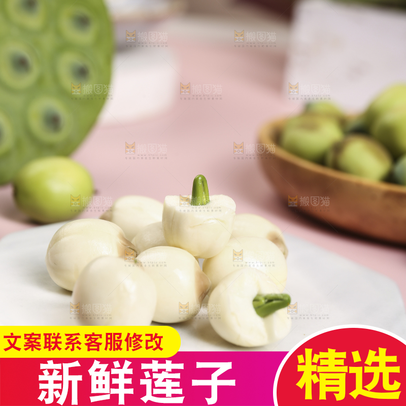 浅底上的莲子
