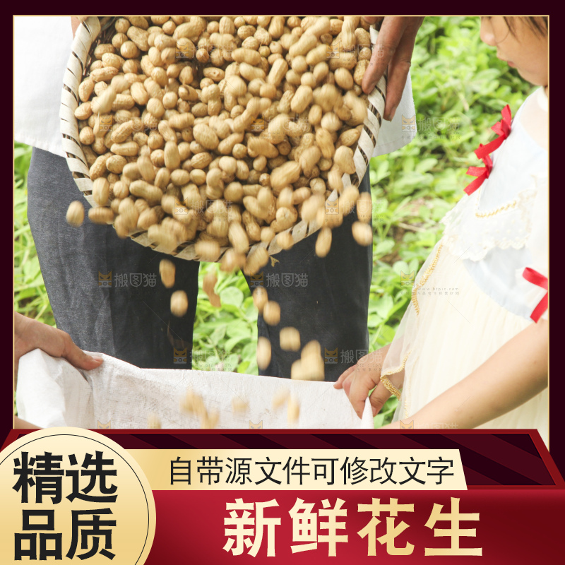 手里拿着现挖花生