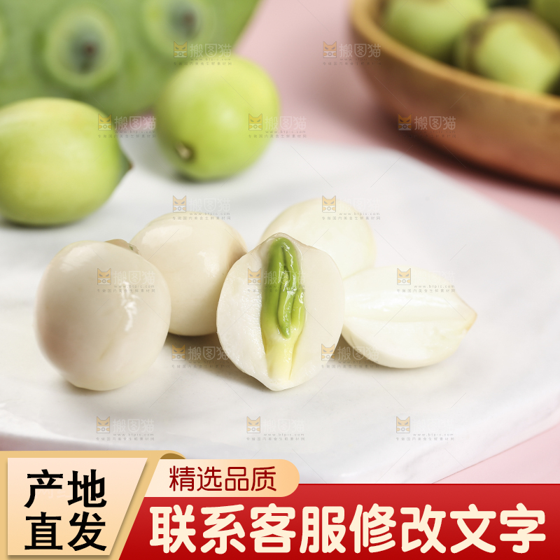 浅底上的莲子