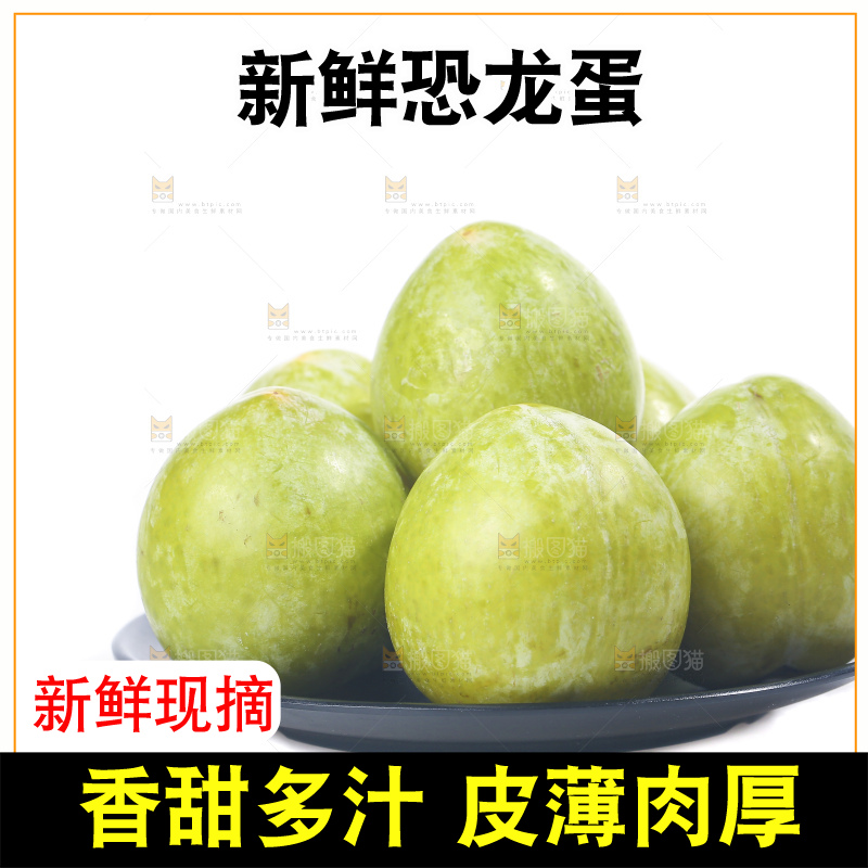 白底上放着新鲜恐龙蛋