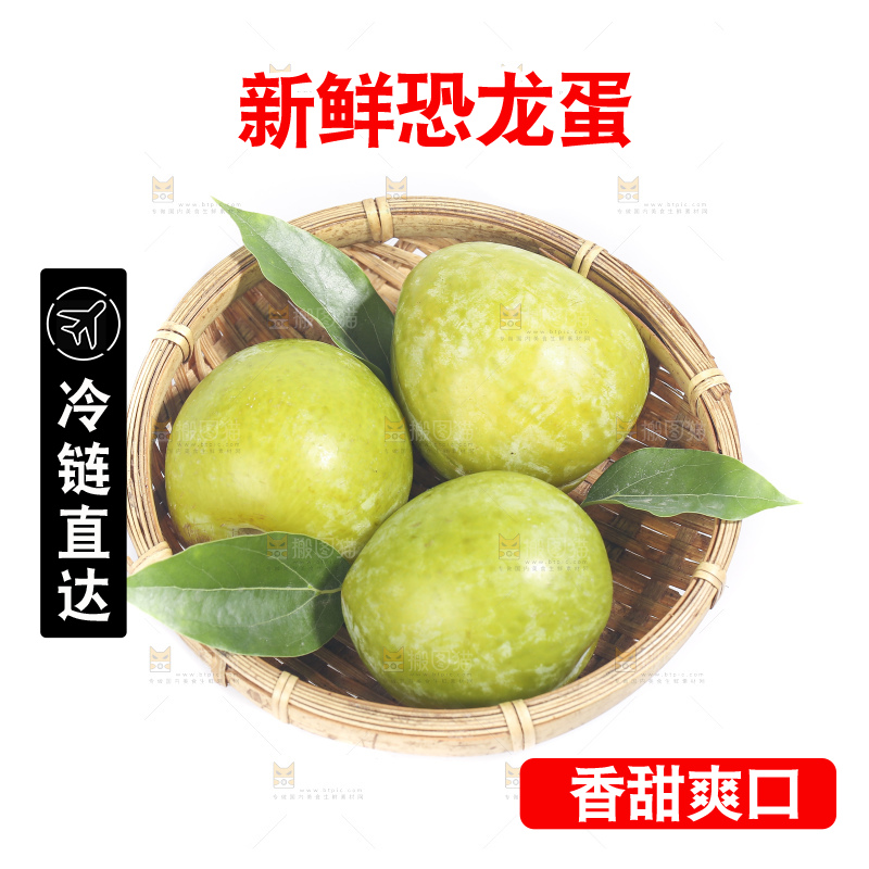 白底上放着新鲜恐龙蛋
