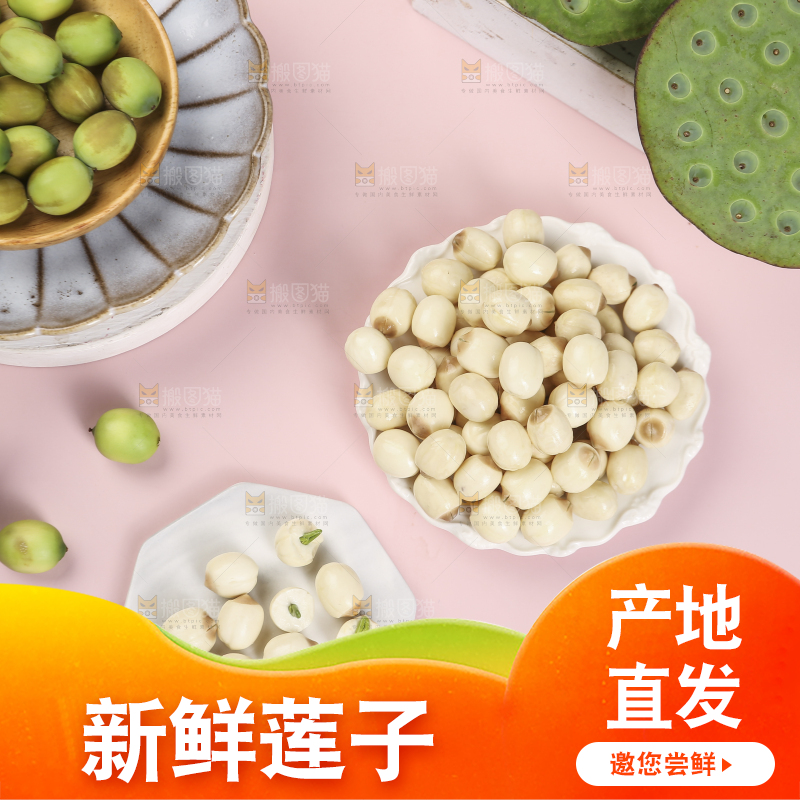 浅底上的莲子