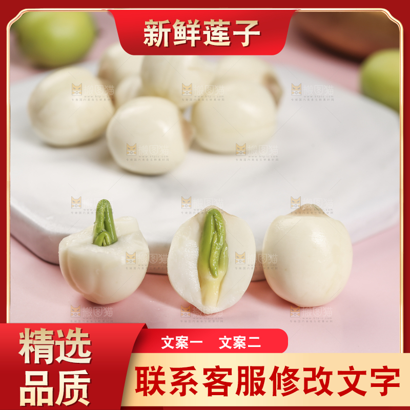 浅底上的莲子